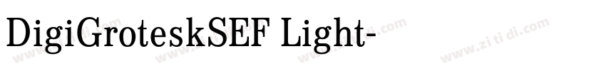 DigiGroteskSEF Light字体转换
